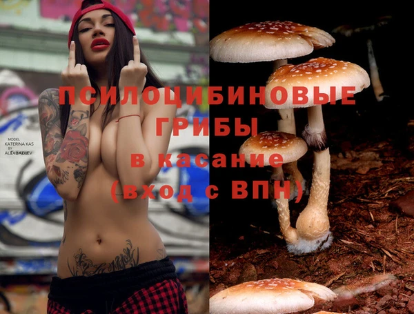 каннабис Пестово