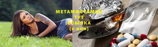 мдпв Дедовск