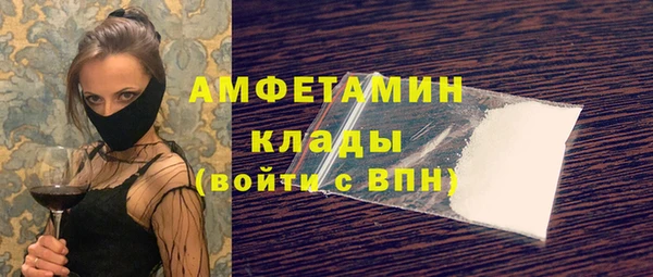 твердый Пересвет
