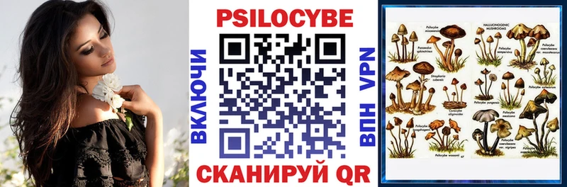 Купить закладки  Жердевка  Галлюциногенные грибы ЛСД 