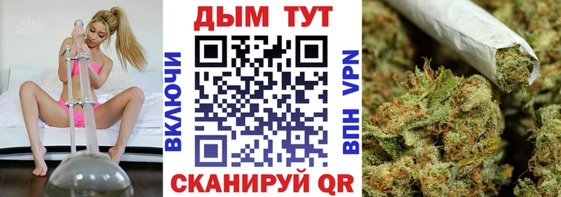МАРИХУАНА план  Купить где  Жердевка 
